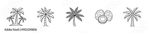 Tropical nature line drawings showcasing various palm trees and coconuts, ideal for travel industry promotions, summer holiday advertisements, or beach themed event invitations.