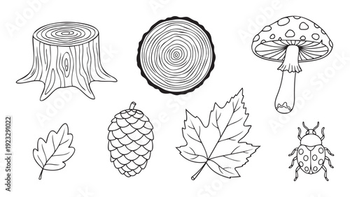 A delightful assortment of outlined nature items including a tree stump, wood slice, mushroom, various leaves, a pine cone, and an insect, excellent for educational printables or seasonal