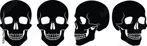 Human skull silhouettes illustration, anatomical structure frontal side profile forensic artistic design, vector artwork, anatomy and education theme, isolated background