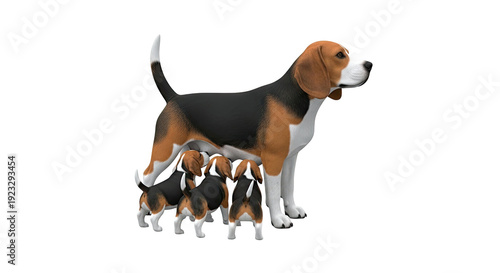 Beagle mother nursing puppies
