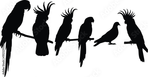 Black, parrot, and, cockatoo, silhouettes, collection, perched, on, a, branch, with, macaw, bird, icons, isolated, on, white, background, vector, illustration.