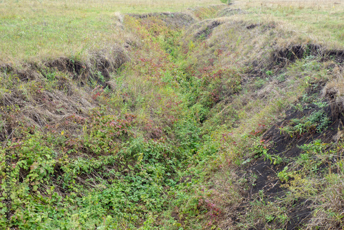 Shallow, grassy ravine, gulch, or ditch in a meadow. Water erosion of the soil.