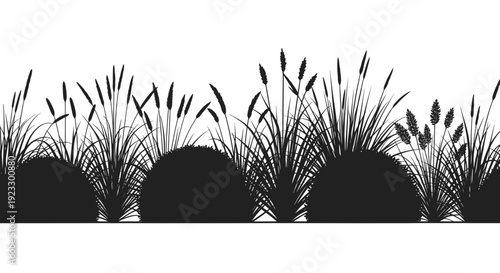 Black Silhouette of Tall Grasses and Reeds Border on White Background
