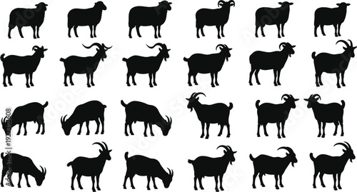 Diverse set of sheep and goat silhouettes in various poses including grazing standing and walking for agriculture farming and livestock