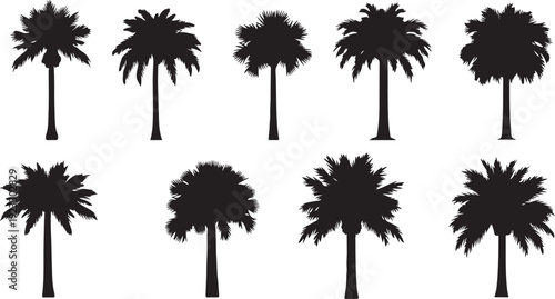 Collection of Black Palm Tree Silhouettes Vector Set Isolated on White Background