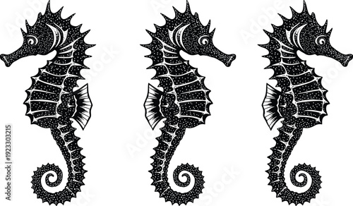 Three hand drawn seahorse silhouettes with intricate stippled patterns for marine life ocean themes nautical decor aquarium and coastal art projects