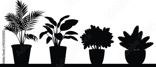 Indoor tropical plant silhouettes on shelf isolated on white background, modern potted houseplants botanical vector illustration set for home decor and interior styling