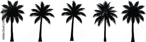Set of tropical palm tree silhouettes standing in a row for summer vacation beach resort travel and exotic nature landscape designs