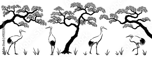 Japanese style illustrations of cranes walking around pine trees isolated on transparent background