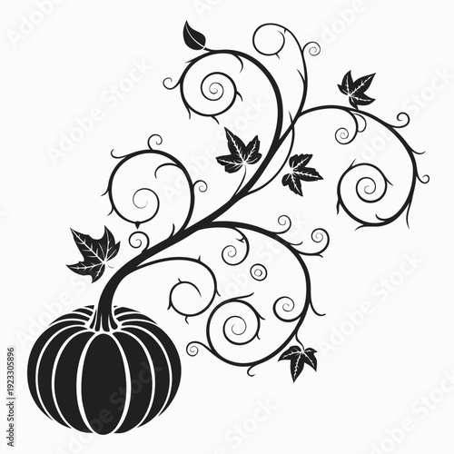 A black and white image of a pumpkin with a curly vine