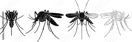 Mosquito Silhouette Set Black and White Detailed Vector Collection