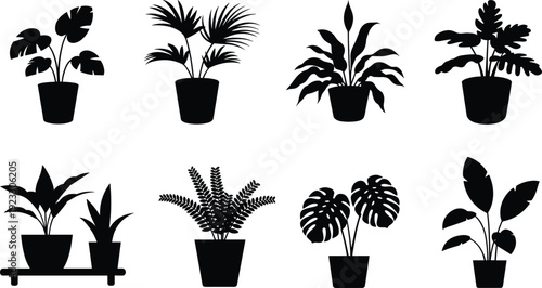 Tropical houseplant silhouettes collection with potted indoor plants isolated on white background, modern botanical decor vector illustration set for home and interior design