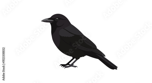 Vector illustration of a black bird, crow or raven, in elegant side profile on stark white backdrop, showcasing dark feathers and sharp beak, ideal