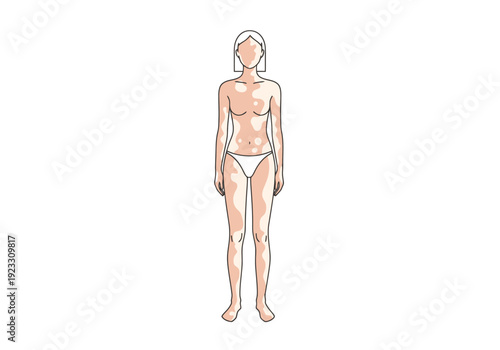 Full Body Artistic Outline Of A Female Figure With Simple Line Art And Light Color Wash For Educational Or Conceptual Representation