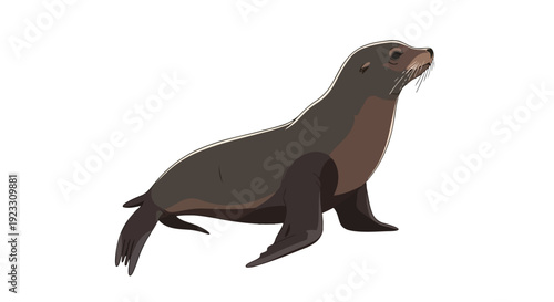 Captivating illustration of a young fur seal or sea lion, depicted in a charming upright pose, highlighting its curious expression and graceful