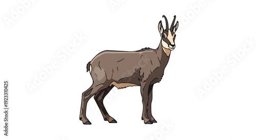An attractive cartoon depiction of a chamois, highlighting its distinctive features and elegant posture. This vibrant illustration captures the