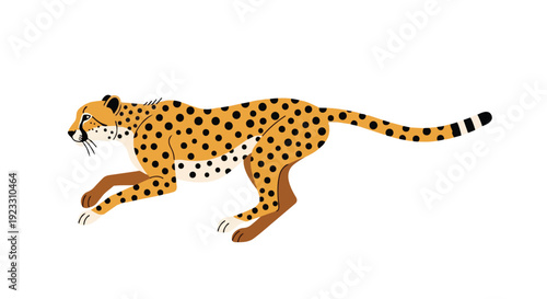 Dynamic illustration of a cheetah in full stride capturing its incredible speed and natural grace in a stylized form