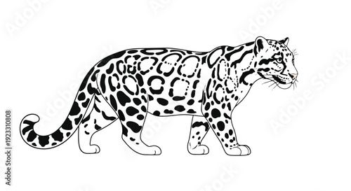 Striking black and white feline illustration capturing raw wild essence