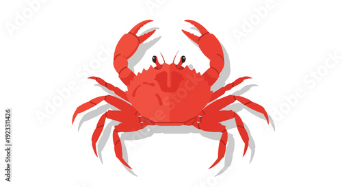 Striking red crab vector illustration showcasing a marine crustacean with raised claws in a flat graphic style on a clean white background artwork