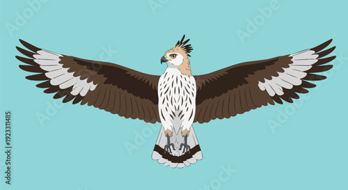 A regal raptor illustration soaring with outstretched wings against a serene sky background perfect for nature designs.