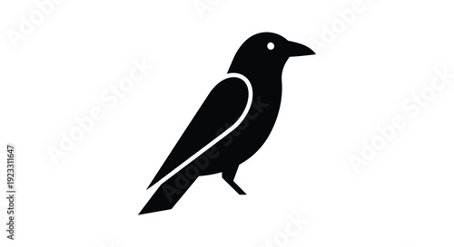 Striking graphic silhouette of a solitary black bird with a bright white eye, embodying minimalist elegance and profound natural mystique for modern