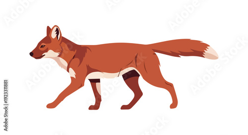 Vibrant stylized fox illustration walking gracefully, showcasing nature's wild beauty in a modern artistic depiction.