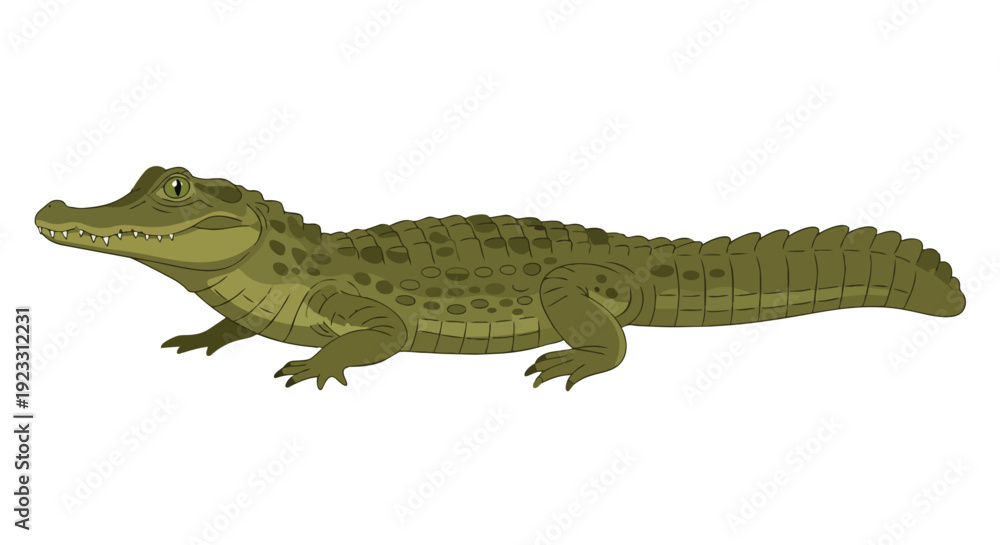 Obraz premium A captivating stylized green alligator illustration showcasing its distinctive scales and powerful form. This vibrant cartoon reptile artwork