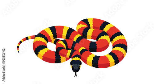 Colorful coral snake illustration with vibrant red, yellow, and black bands in a coiled posture, suitable for reptile education and ecological