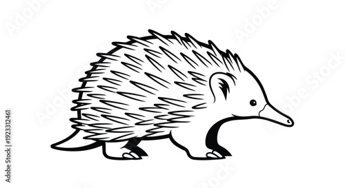 A charming black and white line art illustration of a spiky echidna, a unique Australian mammal with a long snout. This creature is drawn in a