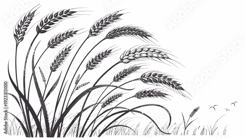 Elegant wheat stalks illustration with birds flying in field