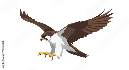 A majestic brown and white raptor with powerful wings soaring through the open skies, its keen eyes focused and sharp talons extended in a dynamic