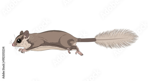 Agile sugar glider illustration in dynamic flight, showcasing its unique form and elegant feathery tail