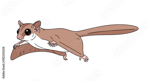 Captivating cartoon illustration of an agile sugar glider gracefully extending its membrane mid-air, showcasing its distinctive gliding ability in a