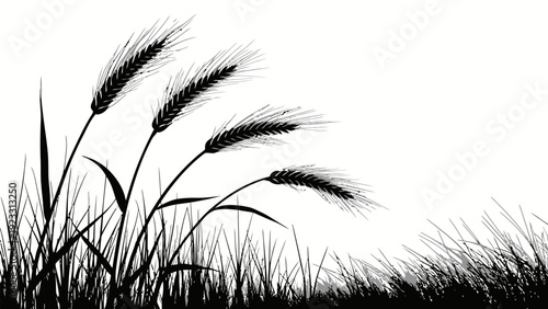 Silhouette of wheat and grass in a natural landscape setting