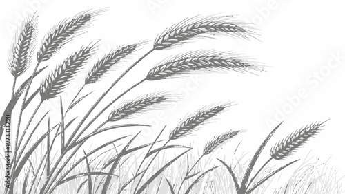 Elegant wheat stalks swaying gently in the breeze