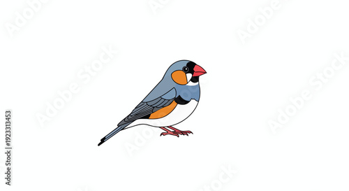 A vibrant illustrated avian subject perched gracefully in profile showcasing its delicate plumage and distinctive markings against a clean