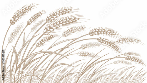 Elegant wheat stalks swaying in the breeze naturally