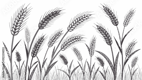 Elegant wheat stalks swaying in the breeze naturally