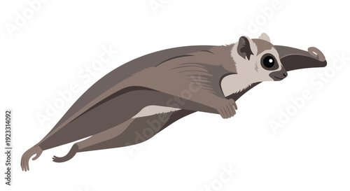 Dynamic Colugo Gliding Motion Captures the Essence of Aerial Mammal Flight A Detailed Vector Illustration Showcasing Unique Wildlife Adaptations in