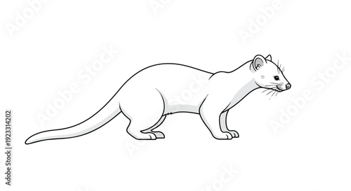 Minimalist outline of a graceful white stoat-like creature standing alert on a clean, blank canvas, an elegant visual suitable for diverse creative