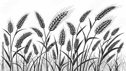Elegant wheat stalks swaying gently in the breeze