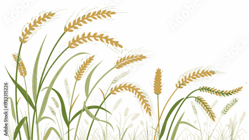 Golden wheat stalks swaying in the breeze naturally