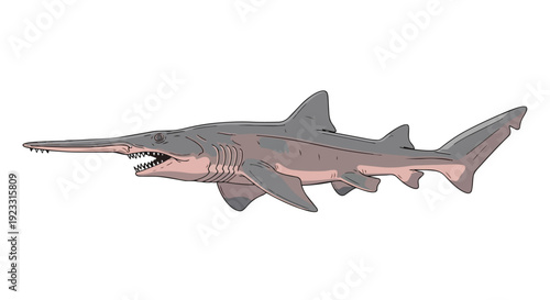 Illustration of a unique deep-sea goblin shark with its distinctive elongated snout and sharp teeth