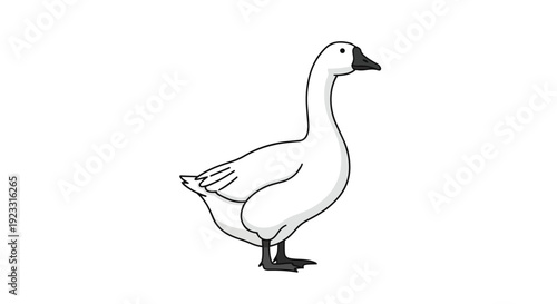 A minimalist cartoon of a white goose with an elegant long neck and dark beak, standing calmly on a pure white background, perfect for children's
