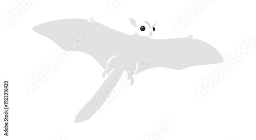 Minimalist gray flying nocturnal mammal illustration showcasing a sugar glider's gentle glide, perfect for playful educational content and simple