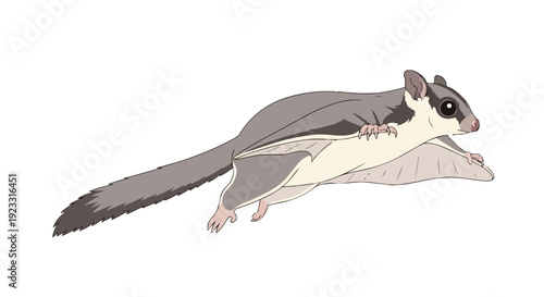 An endearing cartoon sugar glider illustration gracefully soaring through the air showcasing its distinctive patagium and fluffy tail on a pristine