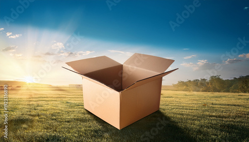 Cardboard Box For Things