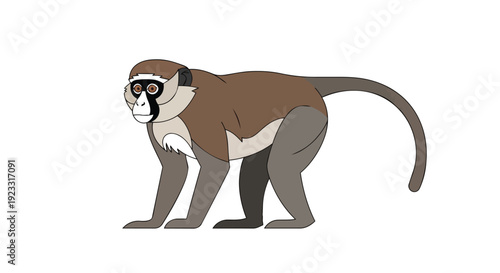 A charming and clean cartoon illustration of an agile African primate, a vervet monkey, depicted in a four-legged stance with keen eyes and