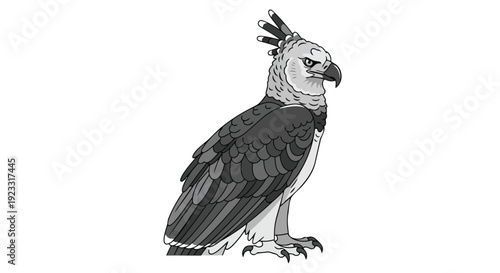 Majestic Harpy Eagle Illustration Depicting Powerful Avian Predator in Detailed Grayscale Artistry