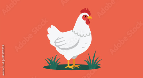 A modern flat design illustration of a plump white chicken standing upright on a small green grass island set against a vivid plain coral background